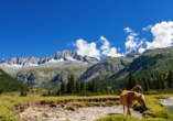 Entdecken Sie die traumhafte Region bei einer Wanderung.