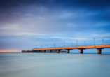 Lassen Sie von der Seebrücke aus den Blick in die Weiten der Ostsee schweifen. 