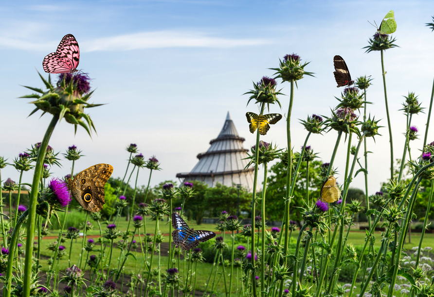 Der Jahrtausendturm im Elbauenpark Magdeburg hält einen tollen Ausblick und eine spannende Ausstellung für Sie bereit. 