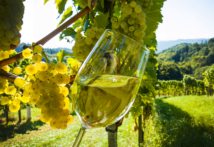 Probieren Sie den leckeren Frankenwein.