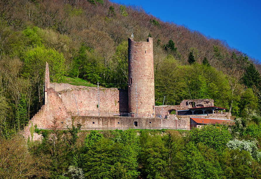 Die Burgruine Scherenburg thront über Gemünden am Main.