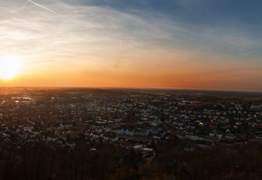 Blick auf Bad Bergzabern