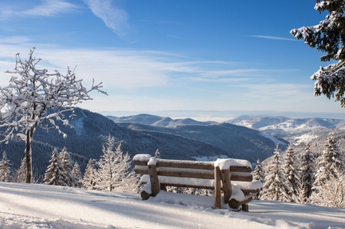 Freuen Sie sich auf den Schwarzwald im Winter. 