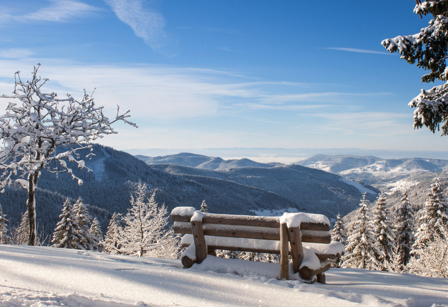 Freuen Sie sich auf den Schwarzwald im Winter. 