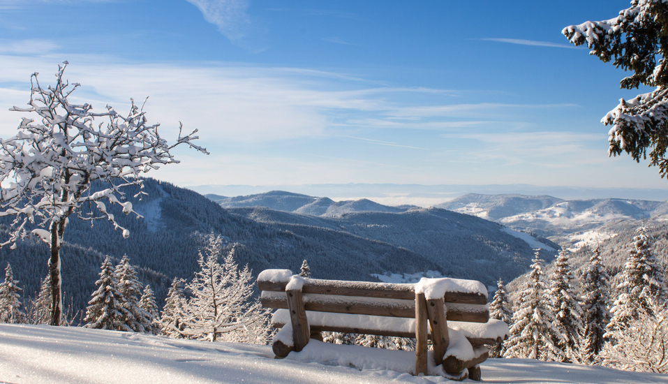 Freuen Sie sich auf den Schwarzwald im Winter. 