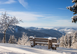 Freuen Sie sich auf den Schwarzwald im Winter. 