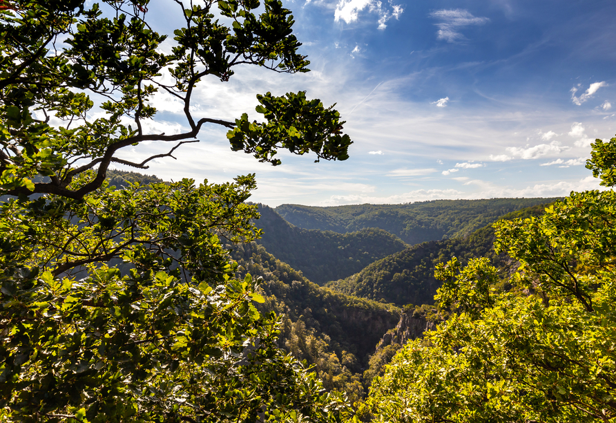 Das Bodetal bei Thale im Harz wird Sie im Urlaub begeistern!