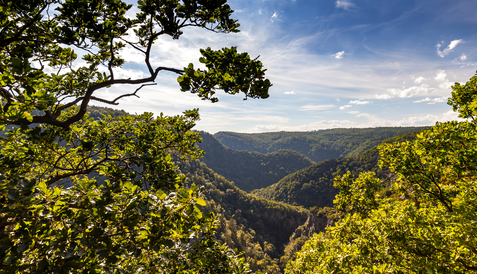 Das Bodetal bei Thale im Harz wird Sie im Urlaub begeistern!