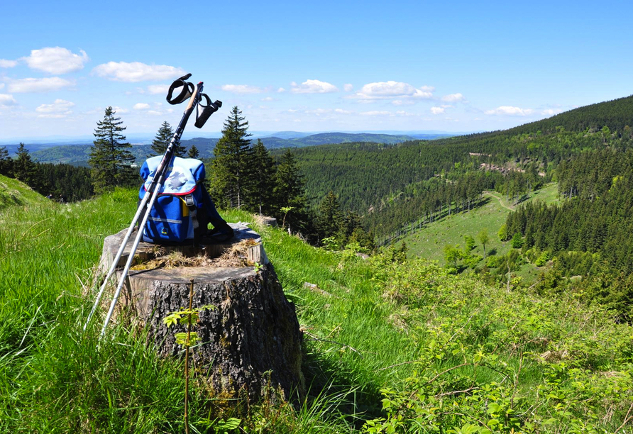 Schnüren Sie die Wanderschuhe und genießen Sie die Natur rund um den Erholungsort Oberhof.