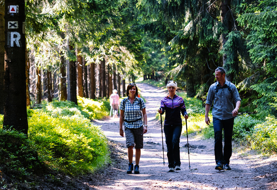 Die traumhafte Natur des Thüringer Walds ist bestens zum Wandern geeignet.