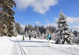 Der Türinger Wald ist zu jeder Jahreszeit ein beliebtest Urlaubsziel.