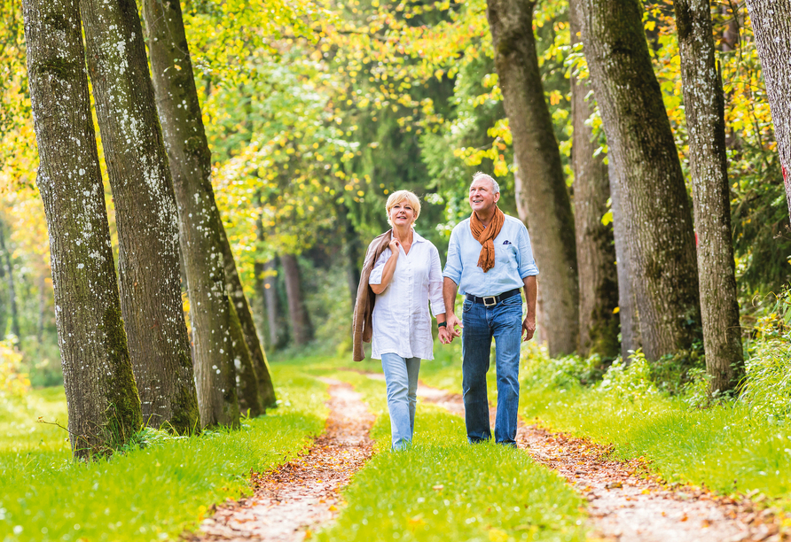 Schnuppern Sie frische Waldluft auf den Wanderwegen der Region.