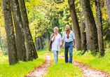 Schnuppern Sie frische Waldluft auf den Wanderwegen der Region.