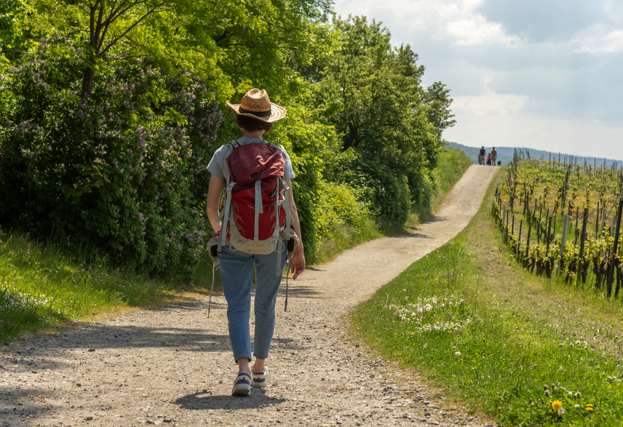 In der Region steht Ihnen ein rund 90 km langes Wanderwegenetz zur Verfügung.