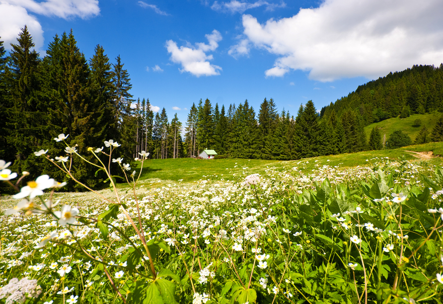 In und um Bad Füssing erwartet Sie die malerische Naturlandschaft Bayerns.