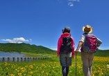 Für lange Spaziergänge oder Wanderungen sind Sie in Bad Füssing genau richtig!