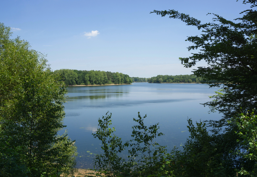 Naturpark Hohe Mark