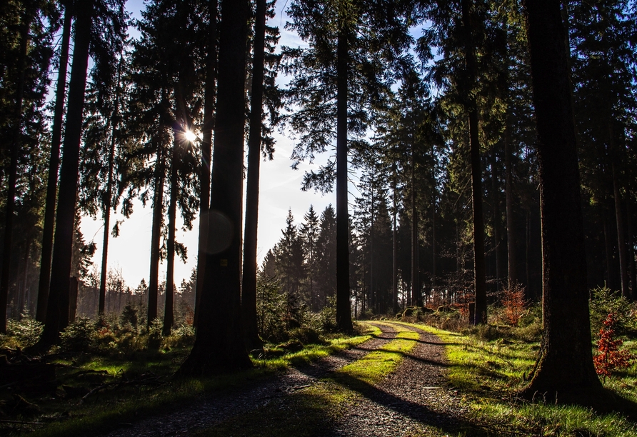 Eine Wanderung am Rothaarsteig belohnt Sie mit tollen Momentaufnahmen!