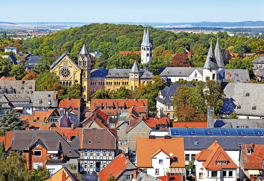 Blick auf Goslar