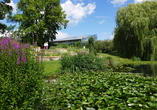 Der Botanische Garten lädt zu einem Spaziergang ein.