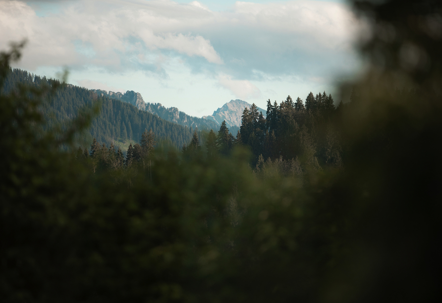 Vom Wellnessbereich aus haben Sie einen wundervollen Ausblick in die Natur.