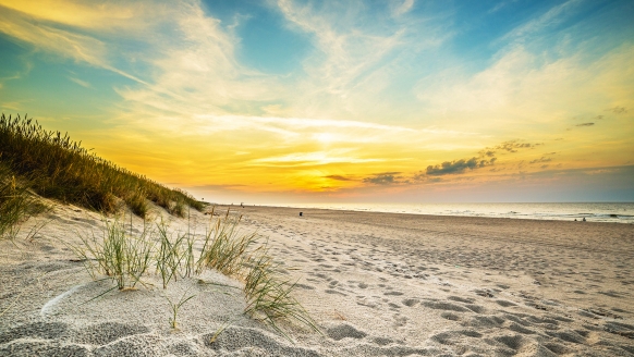 Freuen Sie sich auf Ihre Auszeit an der Polnischen Ostseeküste!