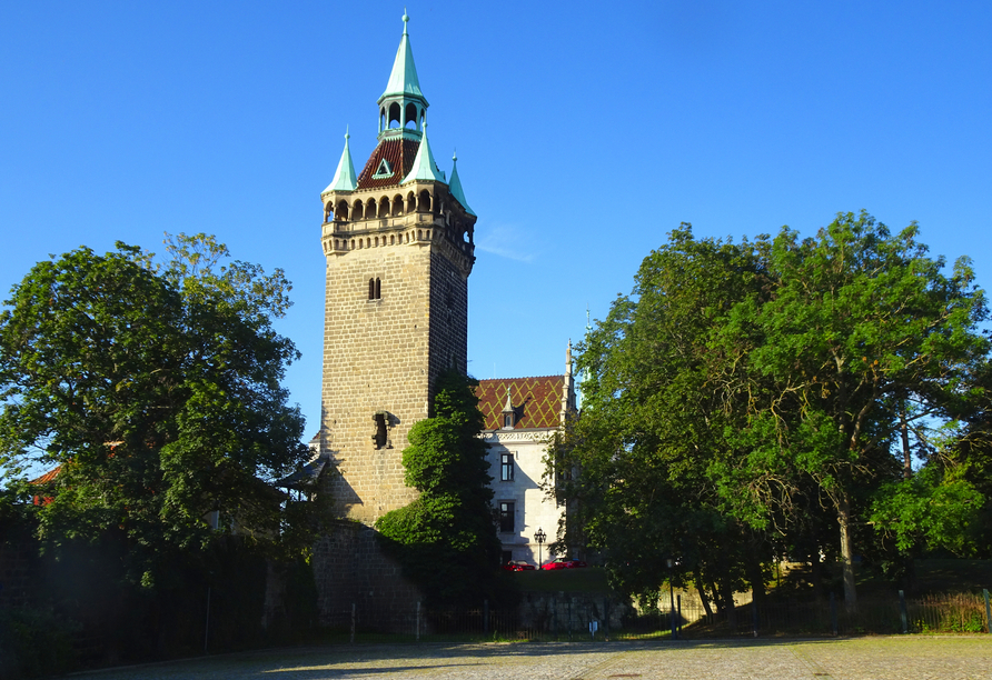 Vom Sternkiekerturm aus genießen Sie eine herrliche Aussicht auf die Stadt Quedlinburg und das Umland.