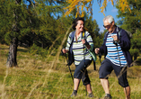 Die Gegend um Bad Lauterberg ist ein Paradies für Wanderer und Nordic Walker.