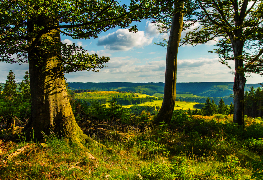 Winterberg heißt Sie herzlich willkommen.