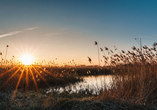 Herrliche Wanderwege im Naturerlebnisgebiet