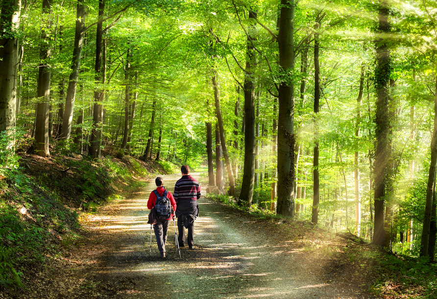 Erwandern Sie die traumhafte Natur.