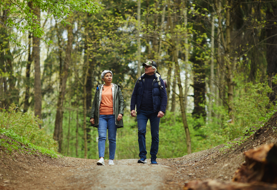 Wandern im Schwarzwald ist ein besonderes Erlebnis.