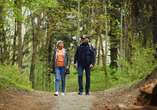 Wandern im Schwarzwald ist ein besonderes Erlebnis.