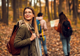 Im Herbst ist es in den bunten Wäldern ganz besonders schön.