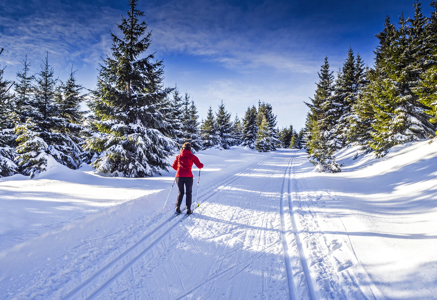 Auch im Winter können Sie in Ihrer Urlaubsregion aktiv werden.