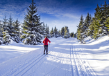 Auch im Winter können Sie in Ihrer Urlaubsregion aktiv werden.