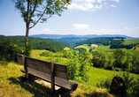 Ihre Urlaubsregion Hochschwarzwald verspricht Erholung in der Naturlandschaft.