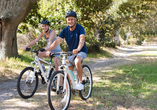 Die Umgebung eignet sich hervorragend für ausgiebige Fahrradtouren.