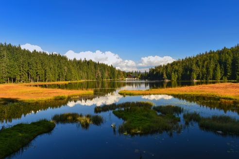 Der Große Arbersee ist ein wunderbares Ausflugsziel.