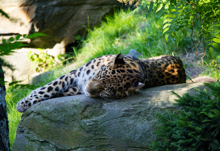 Auch der berühmte Leipziger Zoo ist immer einen Besuch wert.