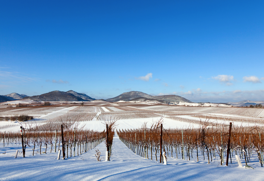 Die Pfalz lädt auch im Winter zur Erkundung ein.