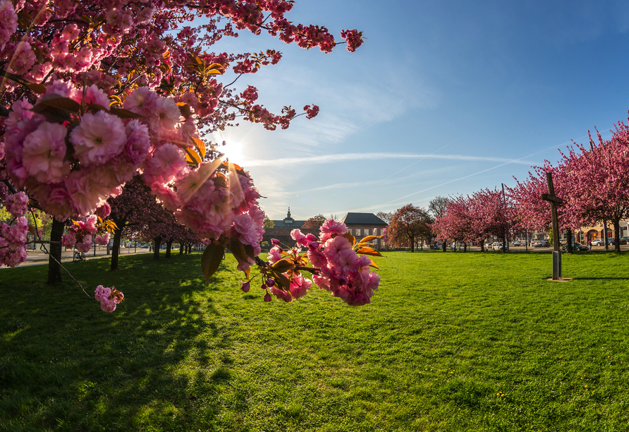 Schöne Parks und zahlreiche Grünflächen finden sich auch in Leipzig – wie hier vor dem GRASSI Museum für Angewandte Kunst.