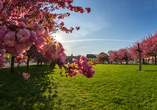 Schöne Parks und zahlreiche Grünflächen finden sich auch in Leipzig – wie hier vor dem GRASSI Museum für Angewandte Kunst.