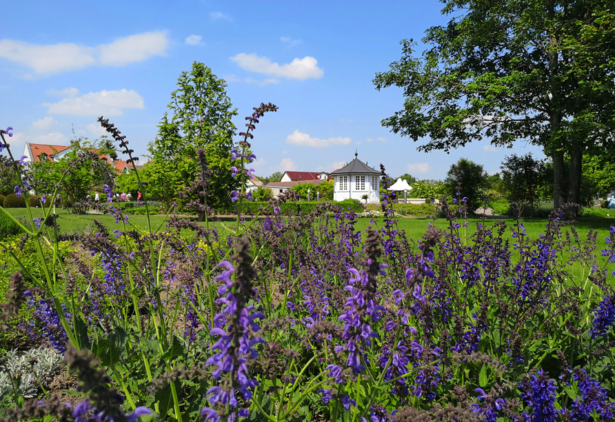 Rosengarten in Bad Langensalza