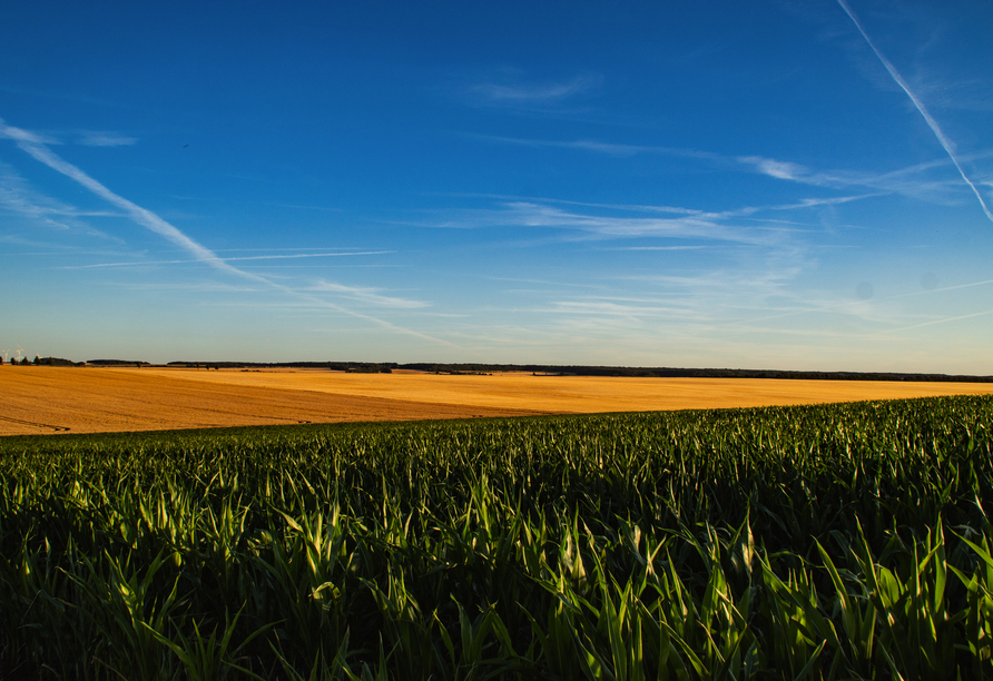 Spazieren Sie durch die schönsten Landschaften Thüringens.