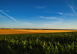 Spazieren Sie durch die schönsten Landschaften Thüringens.