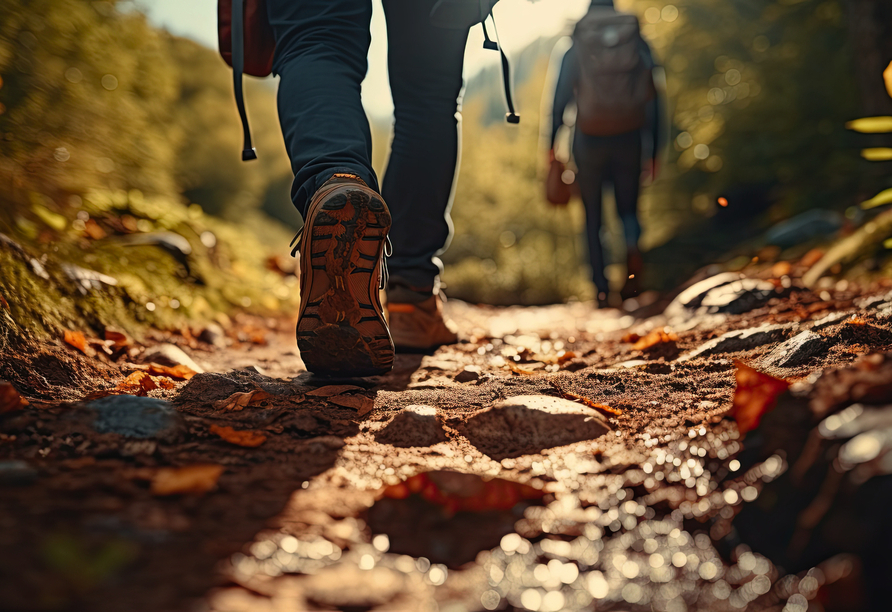 Eine Wanderung durch die unberühte Natur tut Körper und Geist gut.