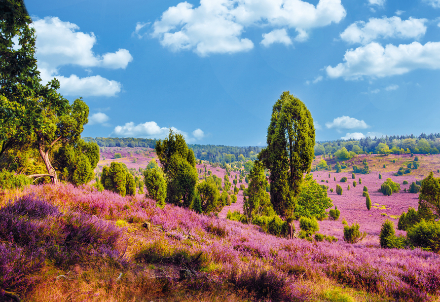 Herzlich willkommen in der Lüneburger Heide.