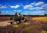 Die Lüneburger Heide ist ideal geeignet für einen Aktivurlaub.