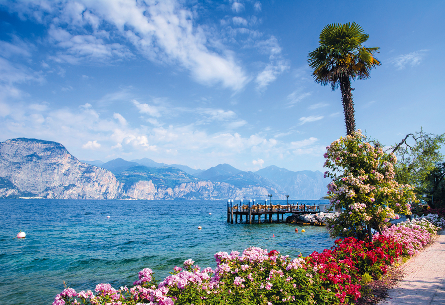 Bewundern Sie die schöne Natur rund um den Gardasee.